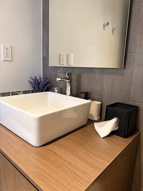Bathroom sink and wooden vanity