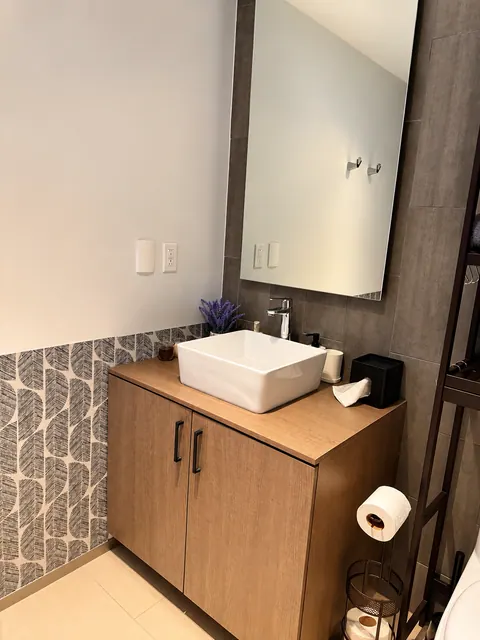 Bathroom sink and wooden vanity