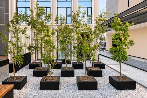 Garden courtyard